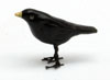 SB001 - 1:12 blackbird (cock)